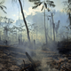 View of a burnt area of Amazon rainforest reserve in Para, Brazil on August 16, 2020.